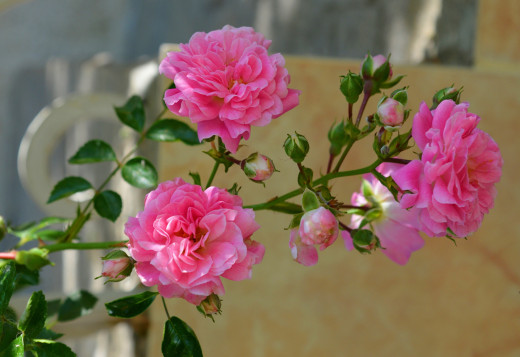 1484898 (a): :2846x1952